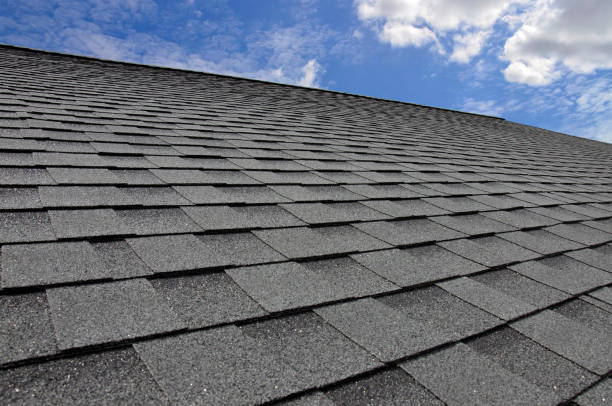 Best Asphalt Shingle Roofing  in Wellington, FL